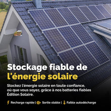 Load image into Gallery viewer, Batterie Solaire AGM 12V 100Ah Décharge Profonde sans Entretien pour Camping-Car, Voiture, Bateau, Jardin et Systèmes Solaires Autonomes Batterie Énergie Electronicx Solar Edition