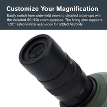 Load image into Gallery viewer, Celestron 52304 Regal M2 Longue-Vue 65ED, Vert